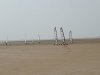 IMG_20220503_135445