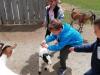 thumbnail-13