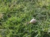 IMG_20200320_085449