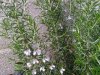 IMG_20200320_135037