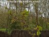 IMG_20200320_160525