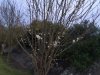 IMG_20200320_191617