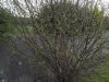 IMG_20200320_191648
